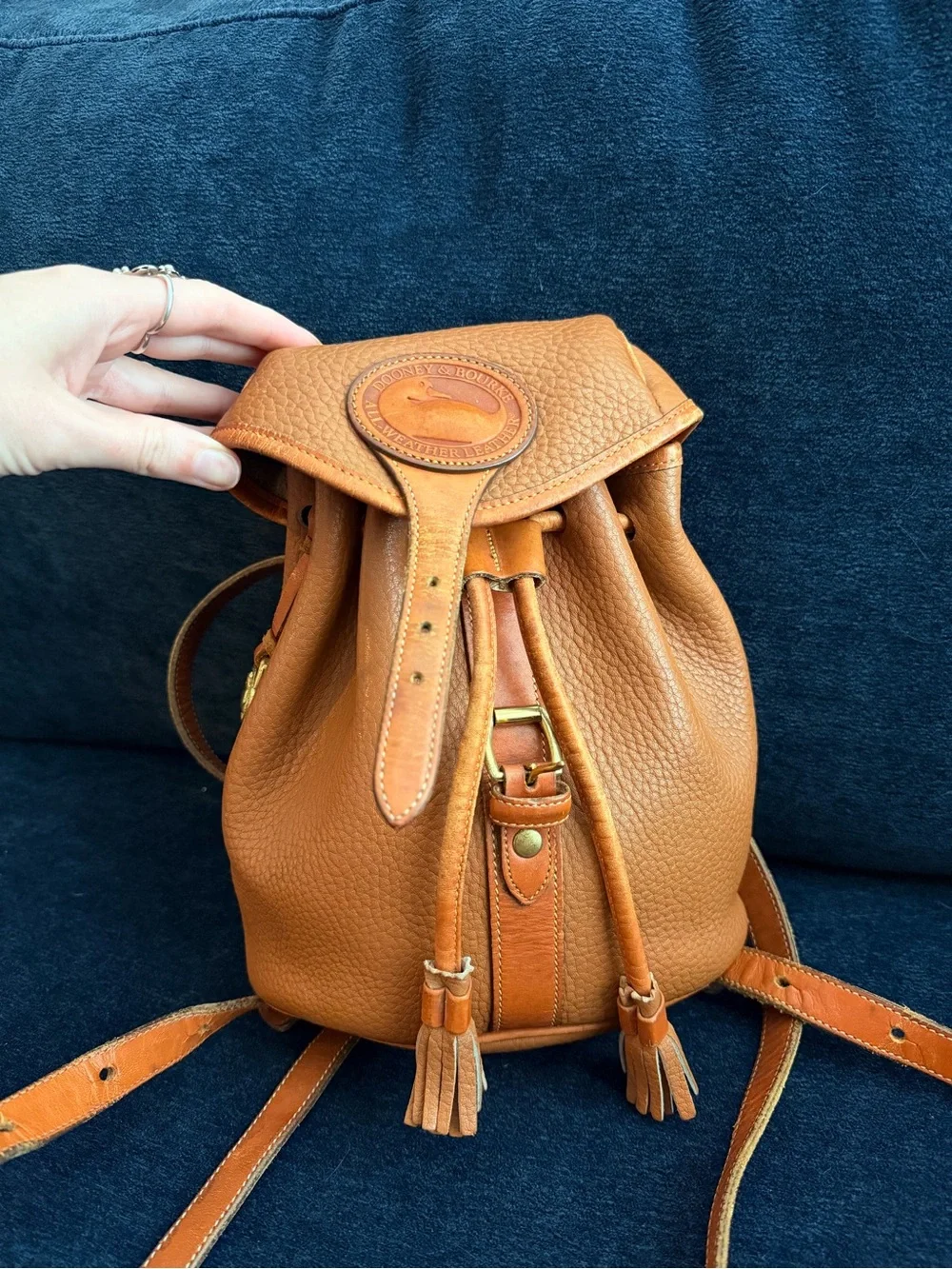 Dooney & Bourke classic vintage
